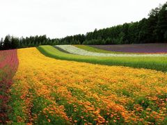 -白沙门生态公园