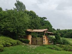 -杏花村文化旅游区