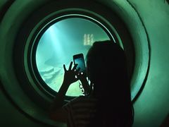 -白鹤梁水下博物馆