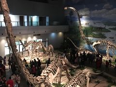 -自贡恐龙博物馆