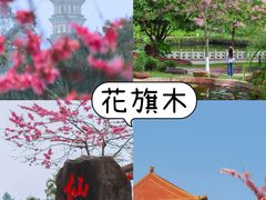 -广州莲花山旅游区
