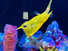 -上海海洋水族馆