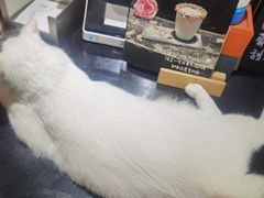 -作咖啡(养育巷店)