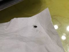 -绿华园休闲山庄