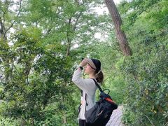 -紫金山山顶公园