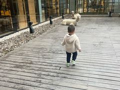 -廊坊固安福朋喜来登酒店