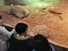 -华夏文旅西安度假区