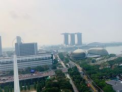 -新加坡瑞士史丹福酒店