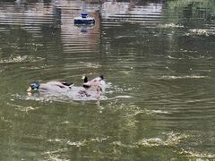 -河南省黄河迎宾馆