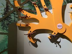 -湖南省地质博物馆