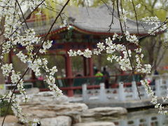 -康庄公园