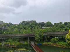 -福道