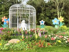 -上海共青森林公园