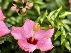 -番禺广场(市桥街道)