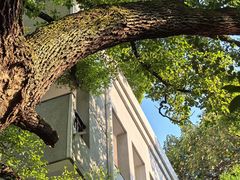 -湖北美术学院(昙华林校区)