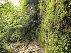 -青城山