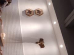 -小桔象·泰国风味餐厅(惠城水门路16号店)