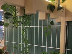 -原味四季椰子鸡(平湖天虹店)