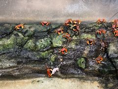 -正佳雨林生态植物园