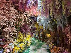-正佳雨林生态植物园