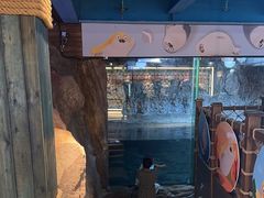 -海合安青岛极地海洋公园
