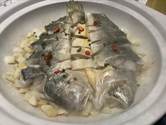 砂锅焗深海大黄鱼-红城阁·上海味道(四平路店)