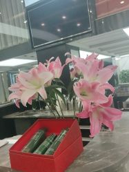 -苏奇发型·烫发染发