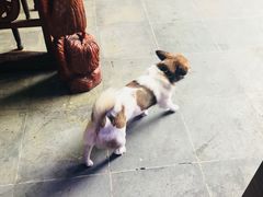 -长兴菜馆(高桥店)