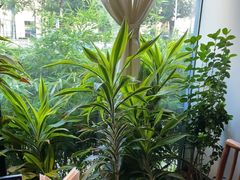 -太守宴·蘭院(天塔店)