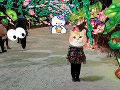-沈阳奥体冰雪嘉年华