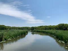 -同里国家湿地公园