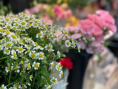 -何兮花店·气球派对鲜花店(马桥银春路万科城店)