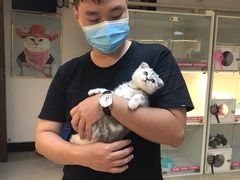 -lincat·猫舍(广州店)