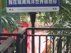 -观澜湖手艺工场·陶艺·吹玻璃·拼豆