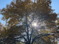 -青岛第三海水浴场