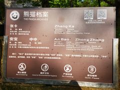 -都江堰中华大熊猫苑