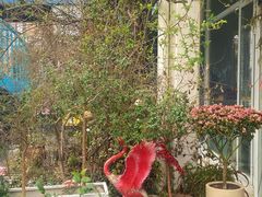 -春树下·树屋花房西餐厅(罍街AS1980店)