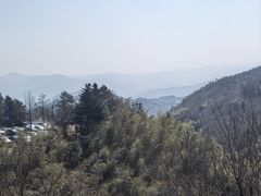 -溪口商量岗景区