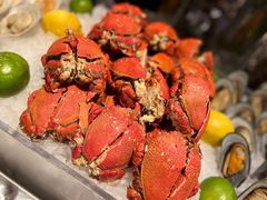 -索菲特酒店·海鲜自助 ·聚餐厅