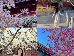 -潭柘寺景区