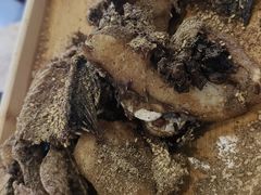 -活鱼馆(宜兴埠店)