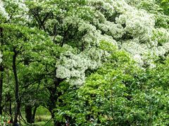 -国家植物园南园