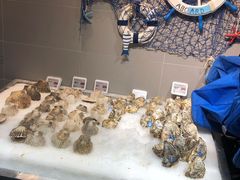 -盒马鲜生(顺义店)