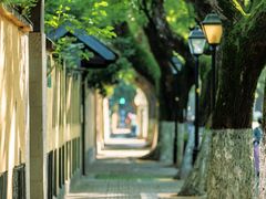 -颐和路民国时期公馆-风貌区