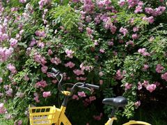 -元大都城垣遗址公园