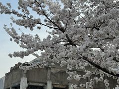 -龙美术馆(西岸馆)