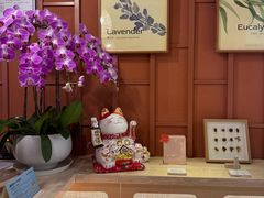 -LANN I 蘭·泰式古法按摩(高岛屋百货店)
