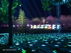 -天适樱花悠乐园