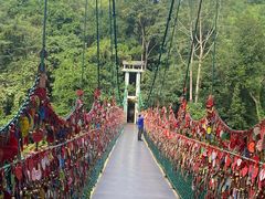 -西双版纳原始森林公园