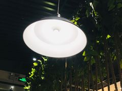 -秦唐汉味biangbiang面(大钟寺店)